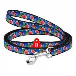 Nylon dog leash WAUDOG 20 mm wide, 122 cm long “fig”