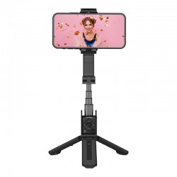 Gimbal Hohem iSteady Q