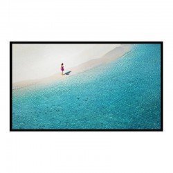 Projection screen BlitzWolf BW-VS4 100