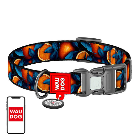 Nylon dog collar with QR code Waudog Nylon dog collar with QR code Waudog